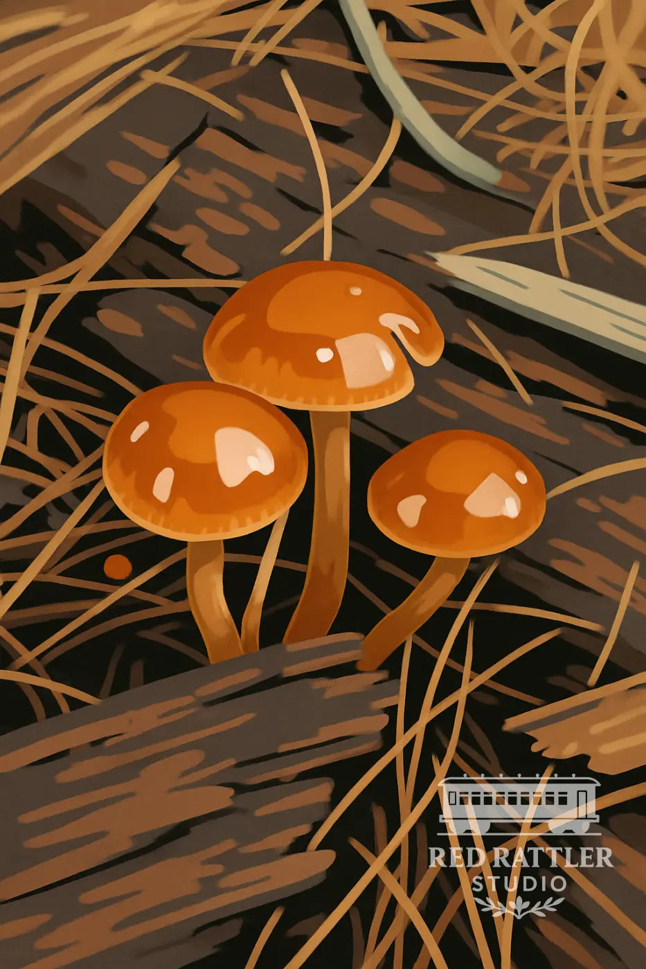 Gallerina Marginata (Blank card) Card