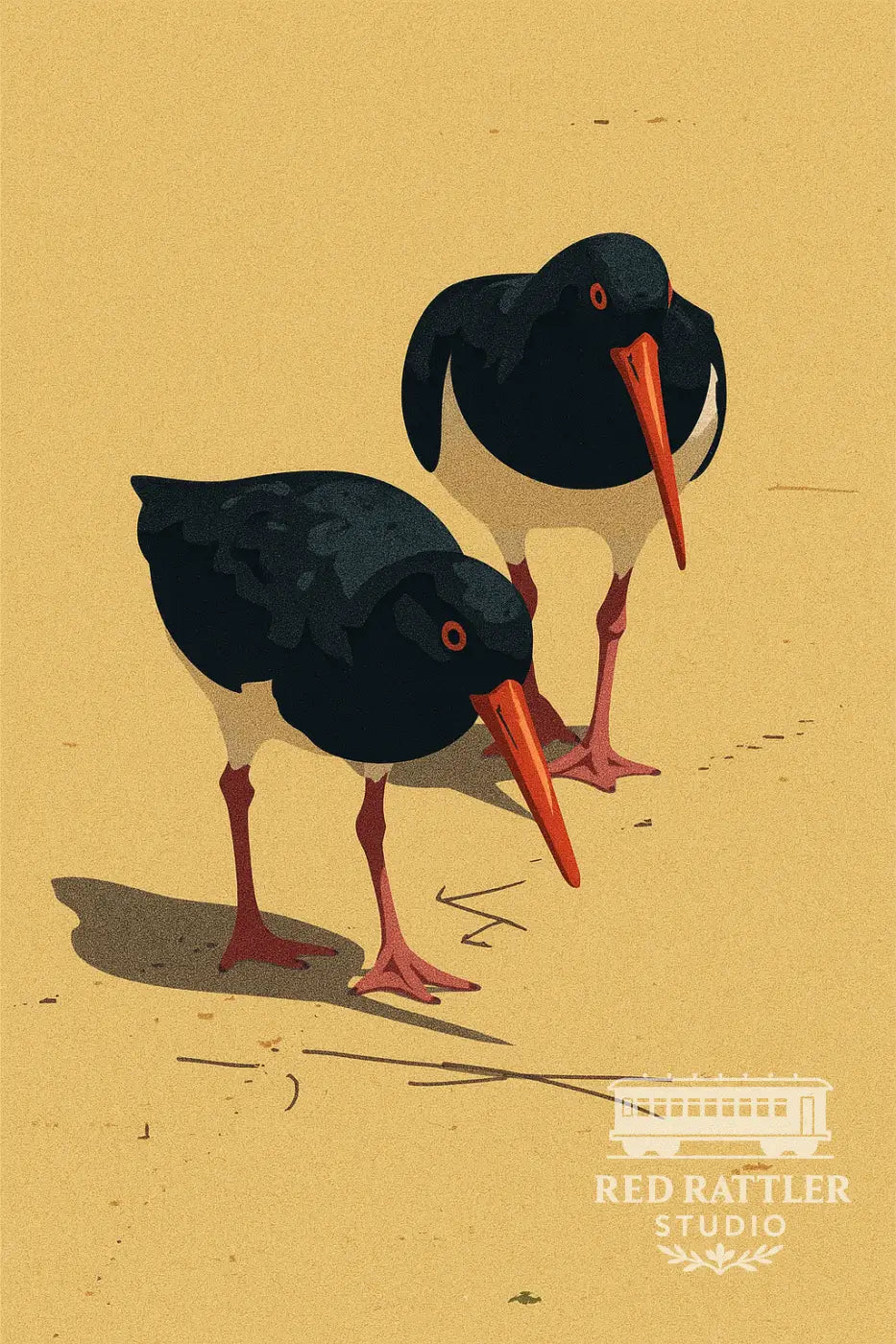 Oystercatcher Duo Framed Print - A2 Frame with A3 Print Art Print