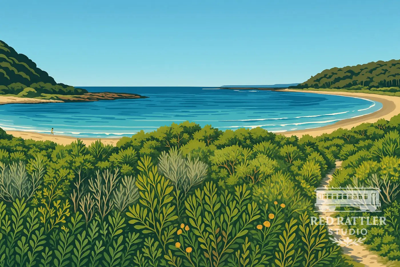 Shark Bay (Size A4 Printed on Metal) Metal Print